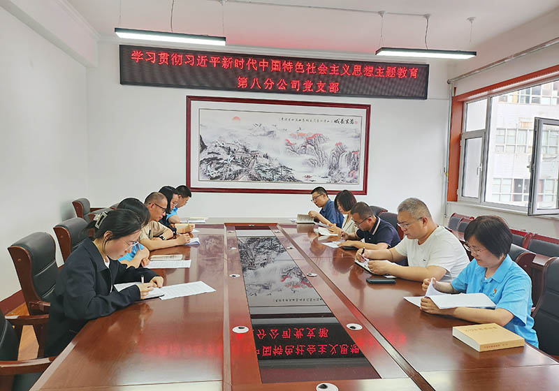 八公司学习贯彻习近平新时代中国特色社会主义思想主题教育会